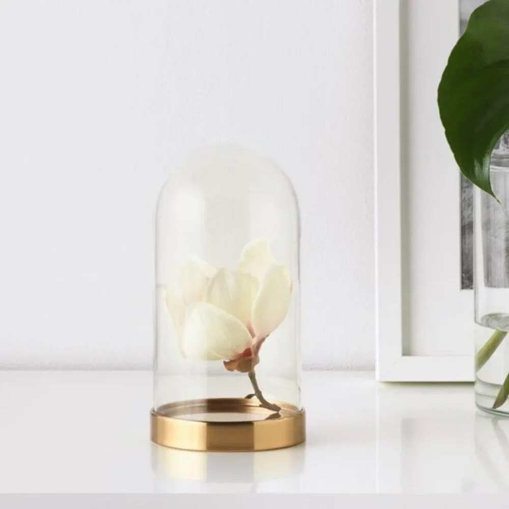 Decoratve Glass Dome / Cloche NIP
